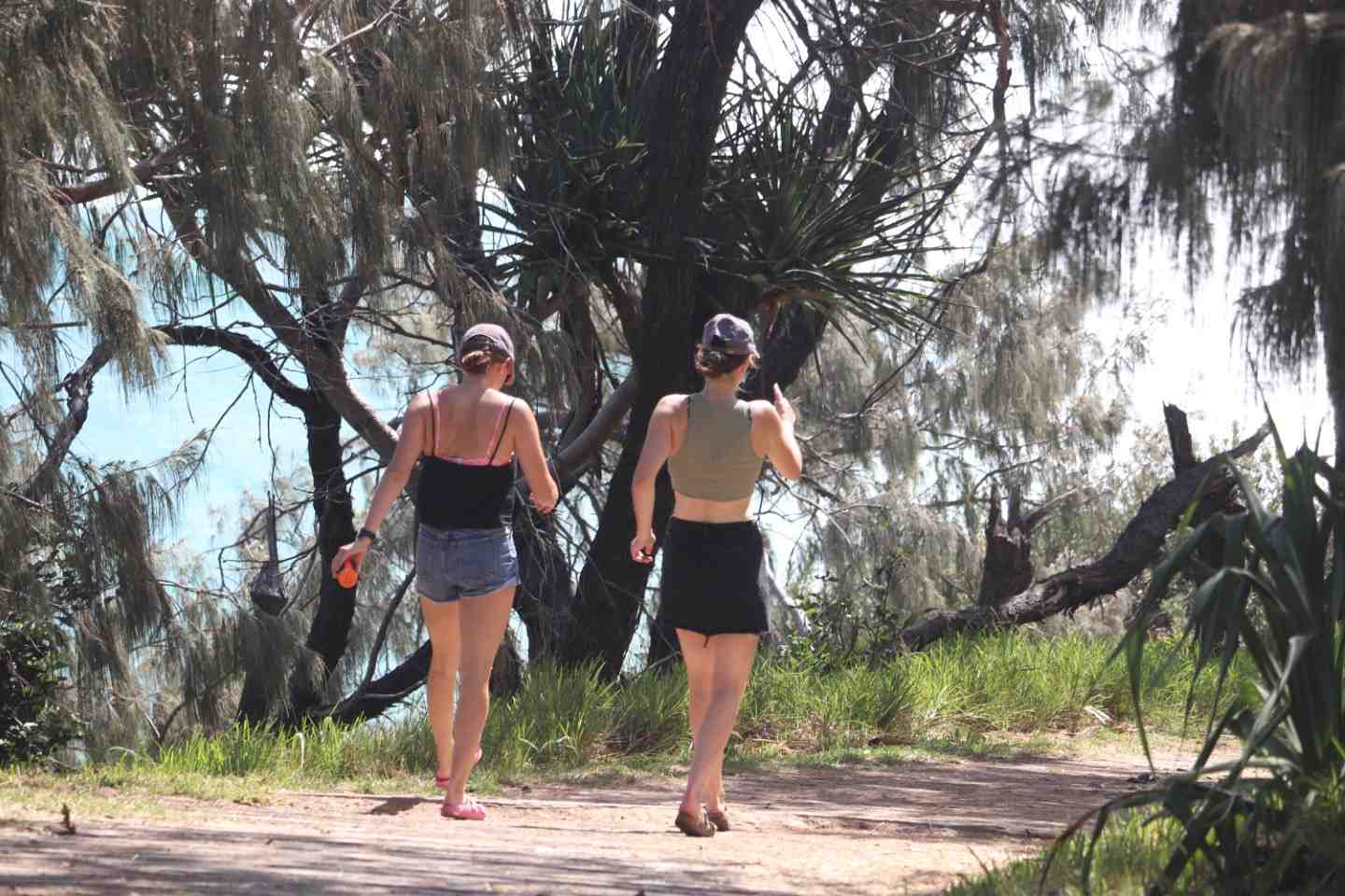 We have a beautiful environment to walk in, like Double Island Point, but almost three in four locals in our region are not physically active enough