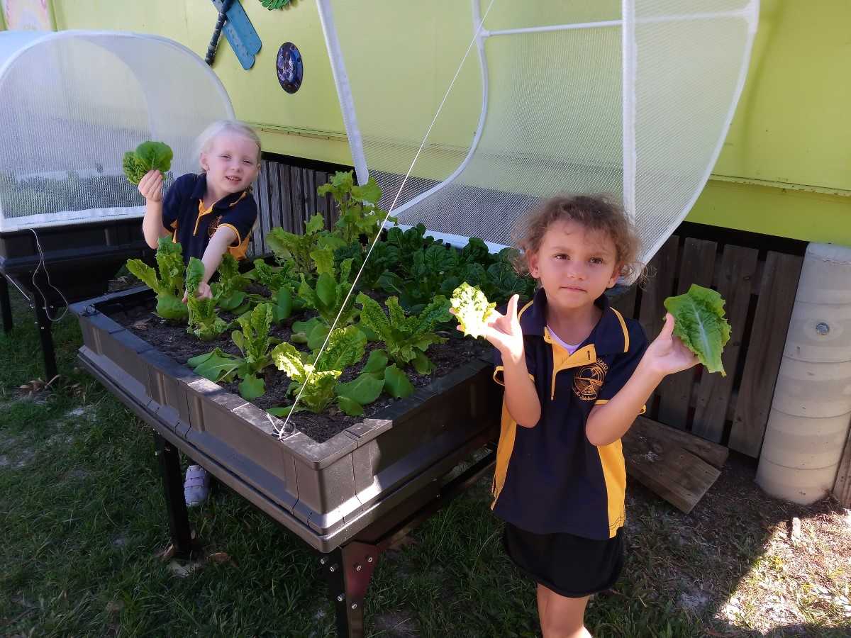 Xaiya and Coral show off the Vegepods’ abundant harvest