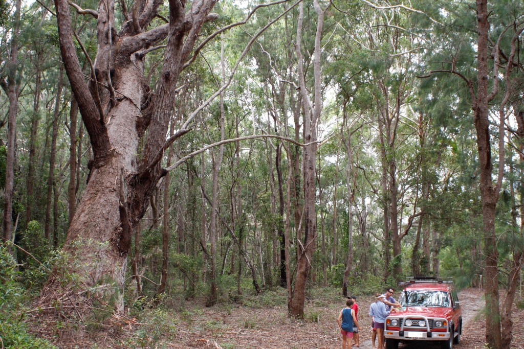 Allow plenty of time and pack a picnic!