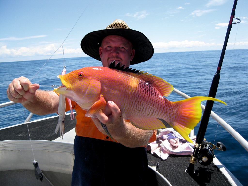 We're catching lots of quality reef fish, like this stunning Gold Spot Wrasse landed by Wayne (Shaddy) 
