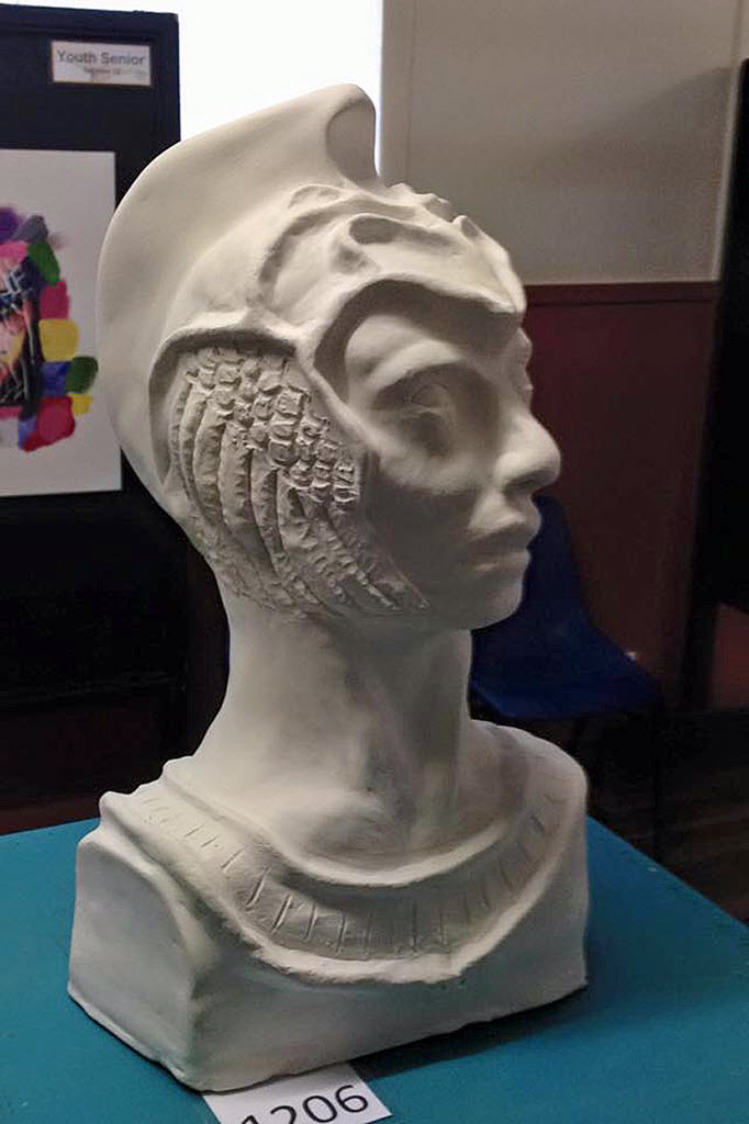 Mary Valley Art Festival - JNSHS 1