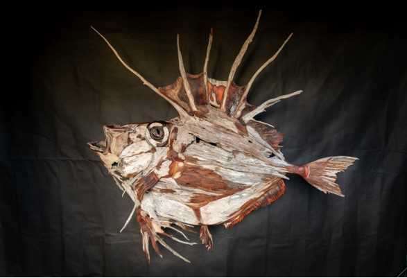 Silver Dory - growing to about 60cm these little fish are found in cool deep southern waters of Australia. This one is made from mixed hardwoods by Grant McFarlane @ saltwoodart Image by Rainbow Beach Wedding Photography