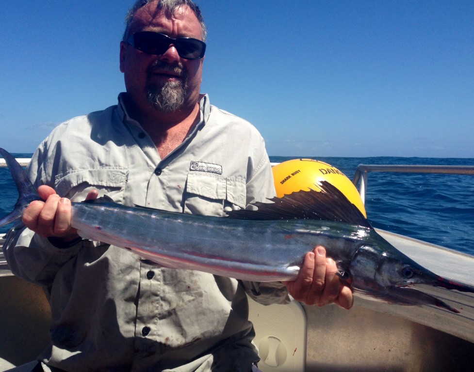 micro black marlin