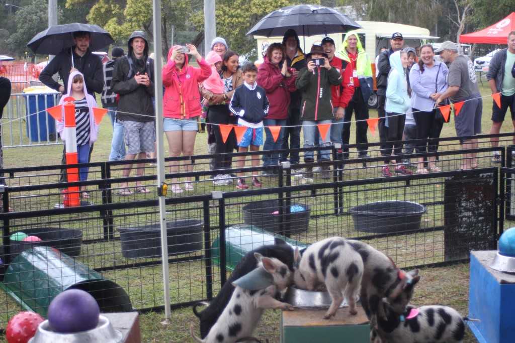 The rain did not stop the excitement of the races