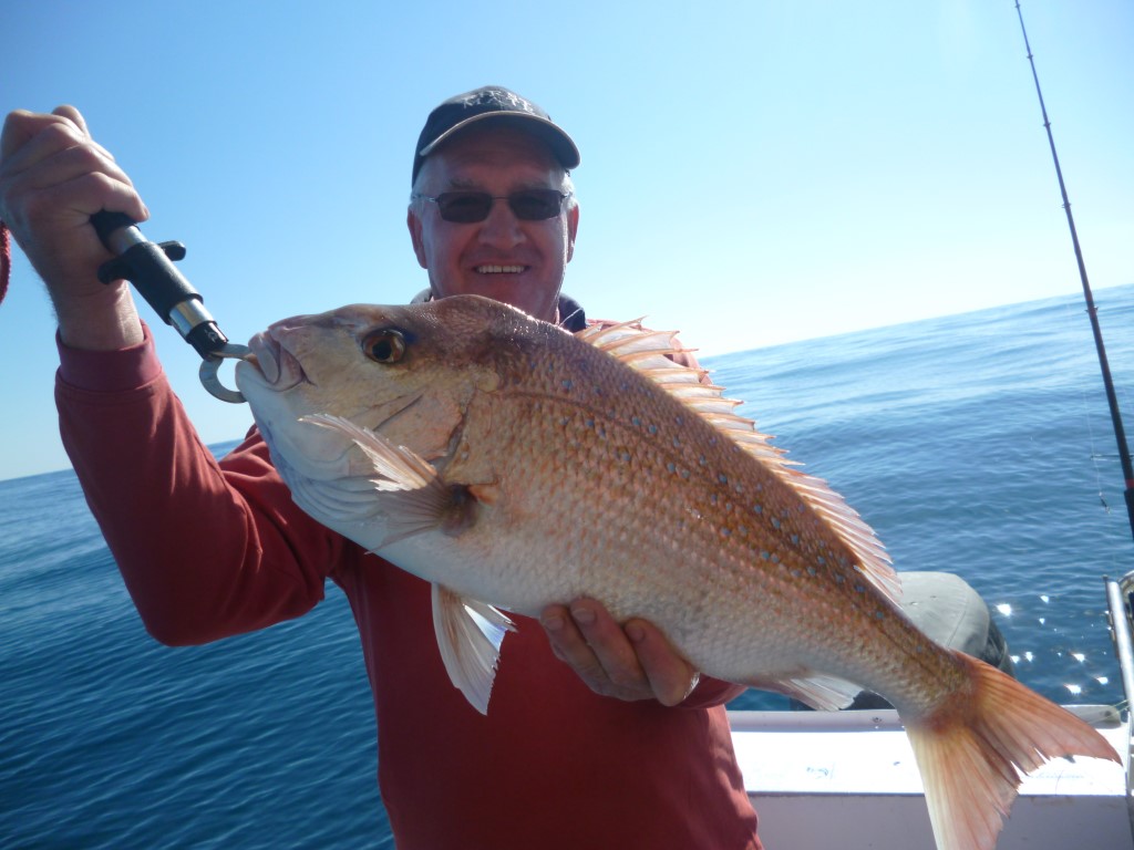 Greg with a quality Snapper. He and a group of old footy team mates from Victoria came up for the week and took home three bi