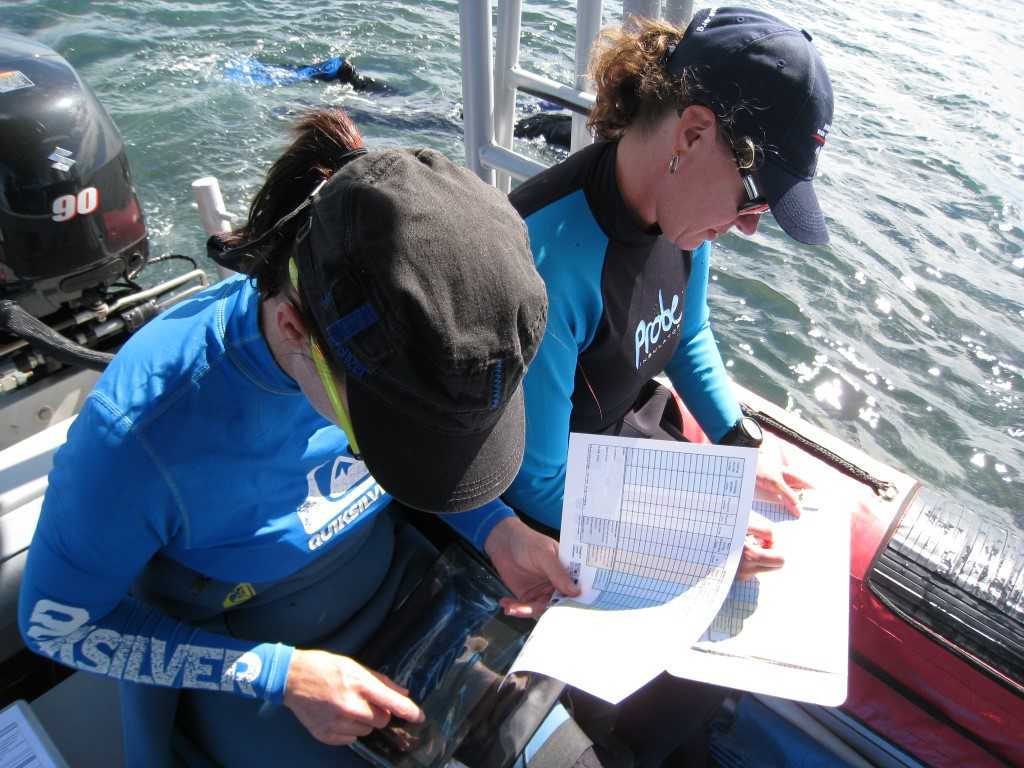 Learn more about our reef