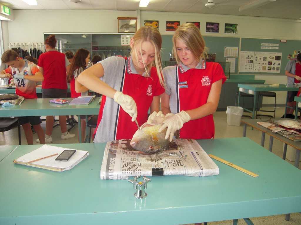 Arwen Goodwin-Van  de Vorst and Kyani Parton learning to learn about Fish Physiology and Anatomy