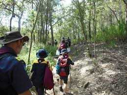 scouts for cooloola coast