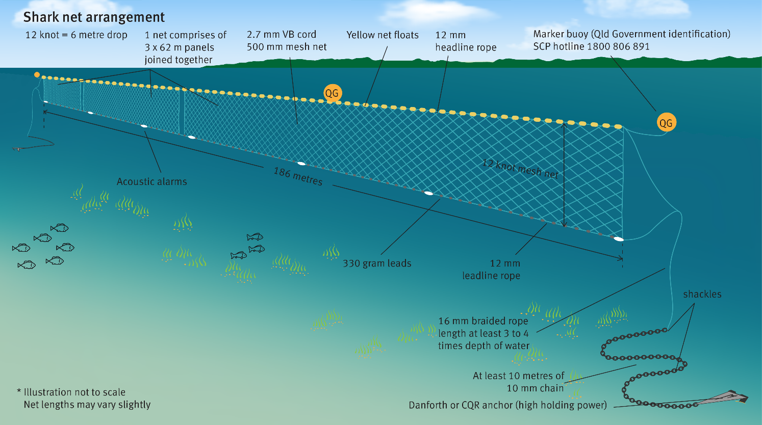 shark net