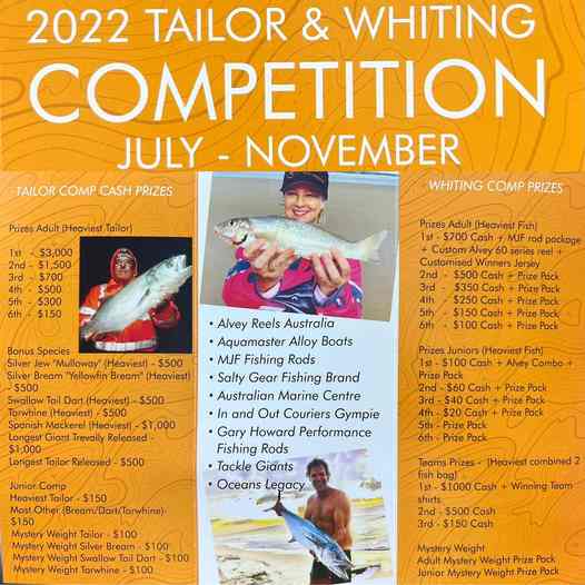 It’s Tailor Comp Time!