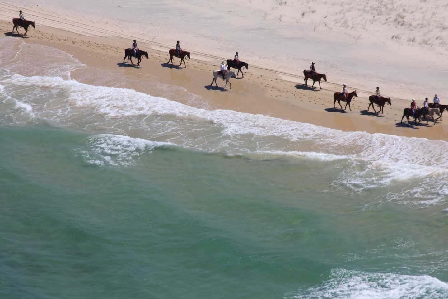 Along with Bondi lifeguards, Kangaroo Island cellar door operator and Falls creek Ski Instructor, Rainbow Beach Horse Rides I