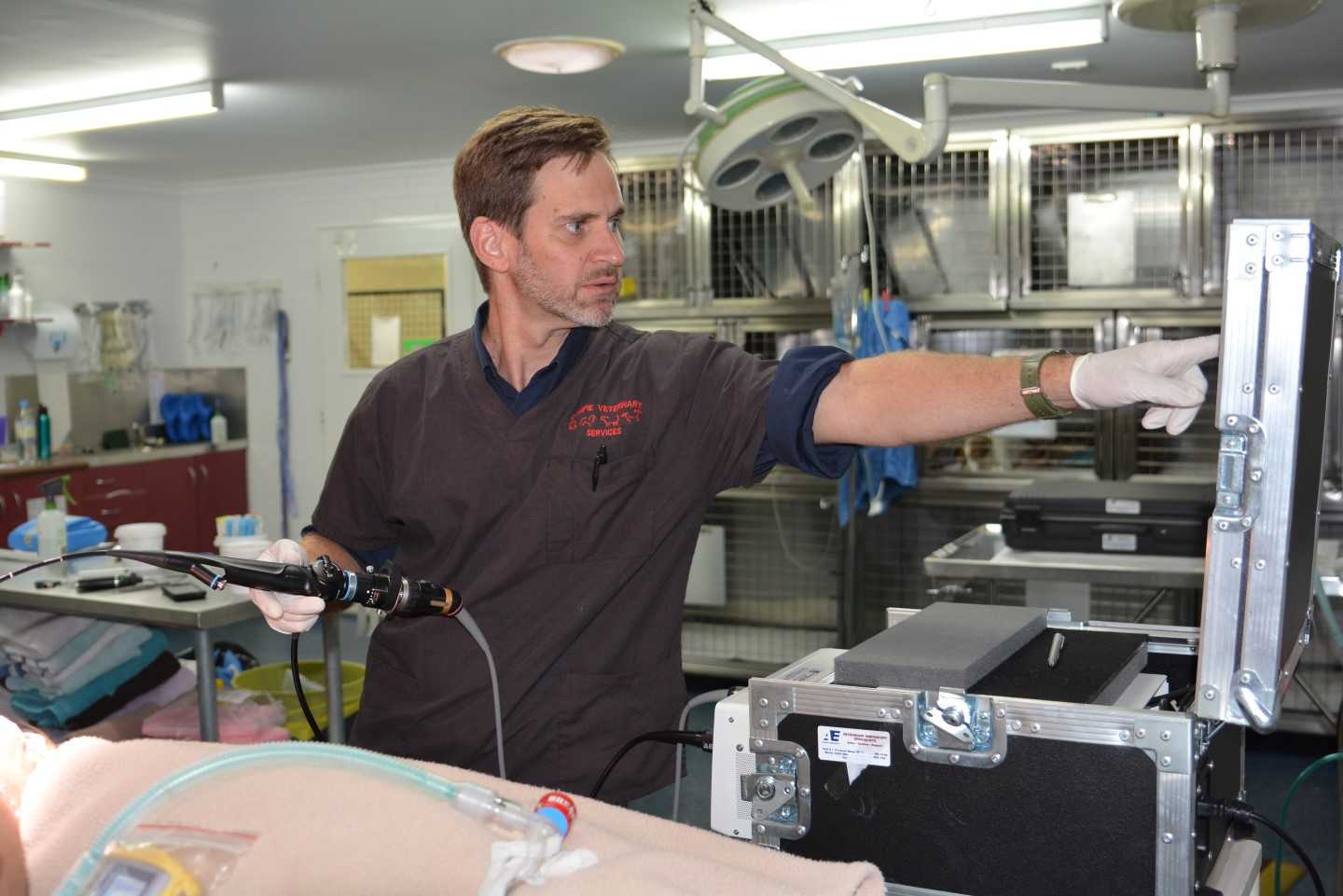Gympie Veterinarian Shannon Coyne acknowledged as one of Australia’s best 