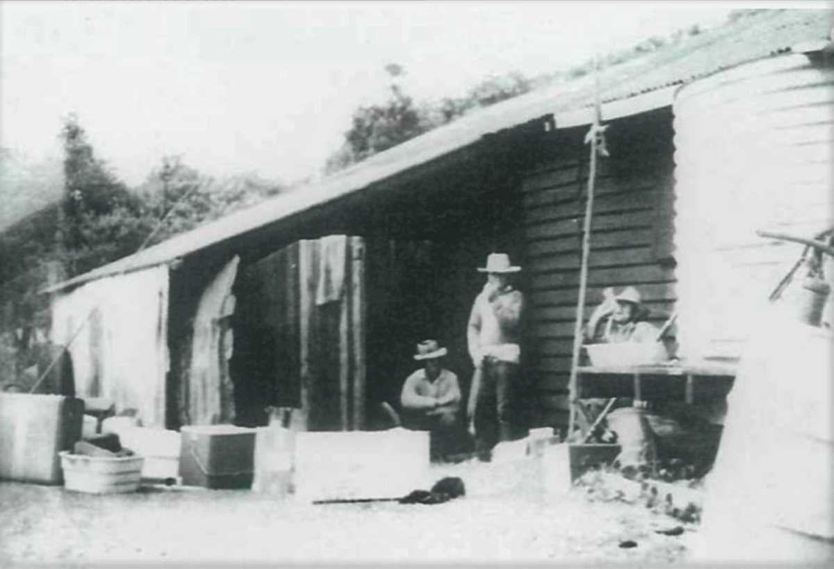 WAY BACK WHEN - Chaplin's Ice Shed at Double Island Point