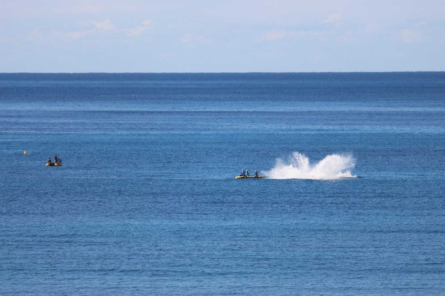 Whale Rescued at Rainbow Beach