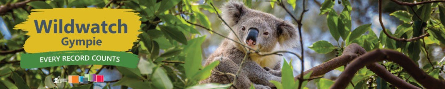 The Wildwatch Gympie is a fantastic site to share animal sightings, the location, the condition of the animals and it is all