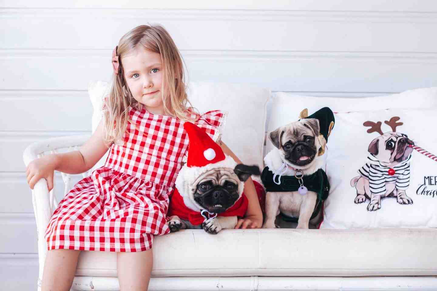 Tigerlily with Lady and Nala - Photographer Aimee Everson