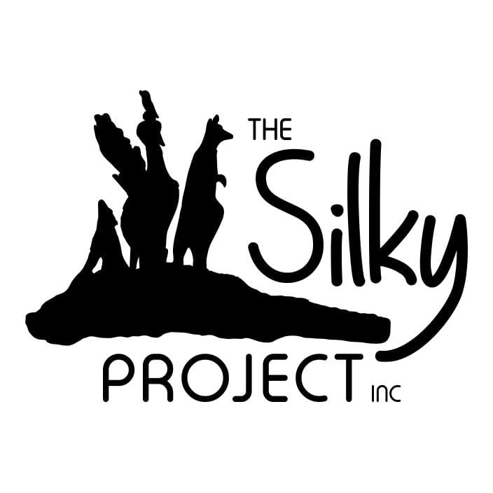The Silky Project: ‘From a Silky Oak Tree Stump to 21 Bronze Native Australian Animals’