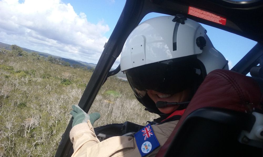 Aerial Surveillance Of Invasive Pest On Our Coastal Dunes post image