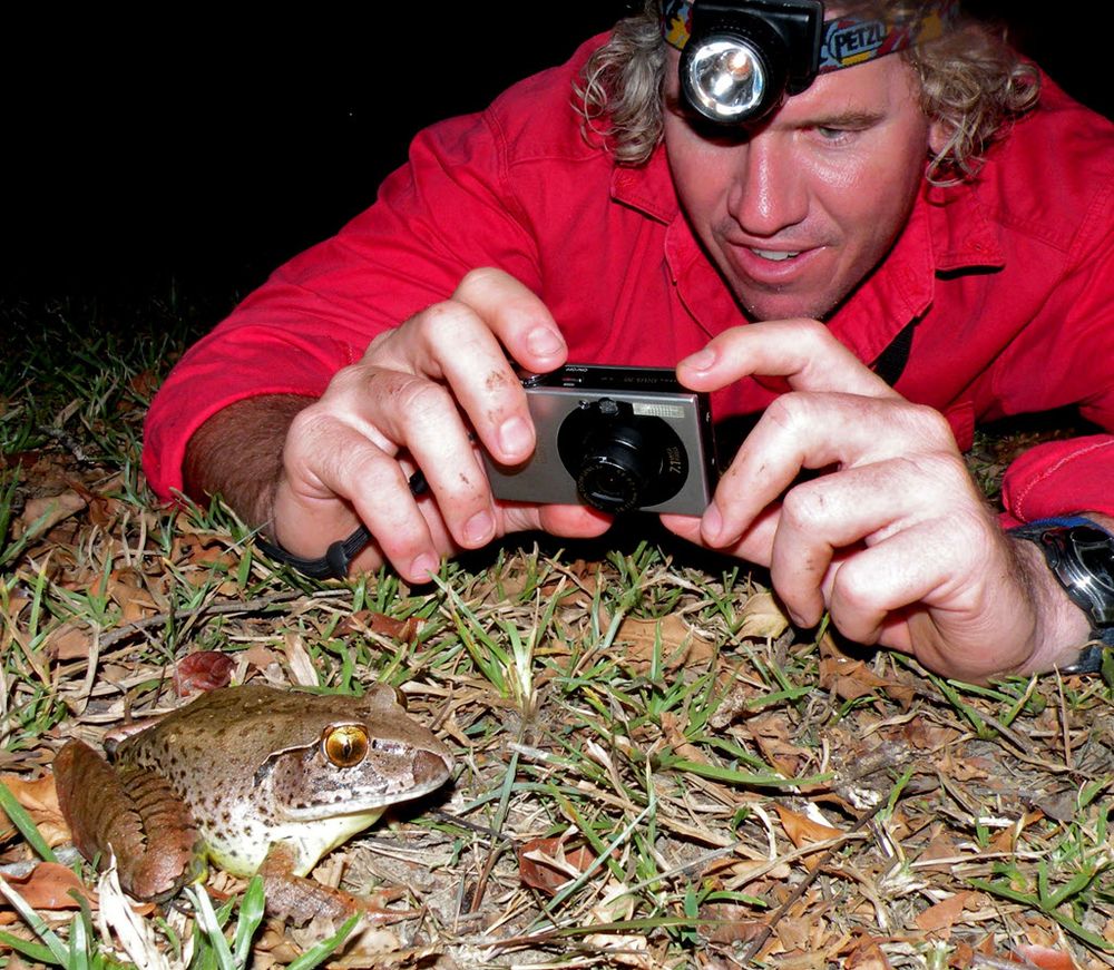 Our frogs need you! Find a Frog in February post image