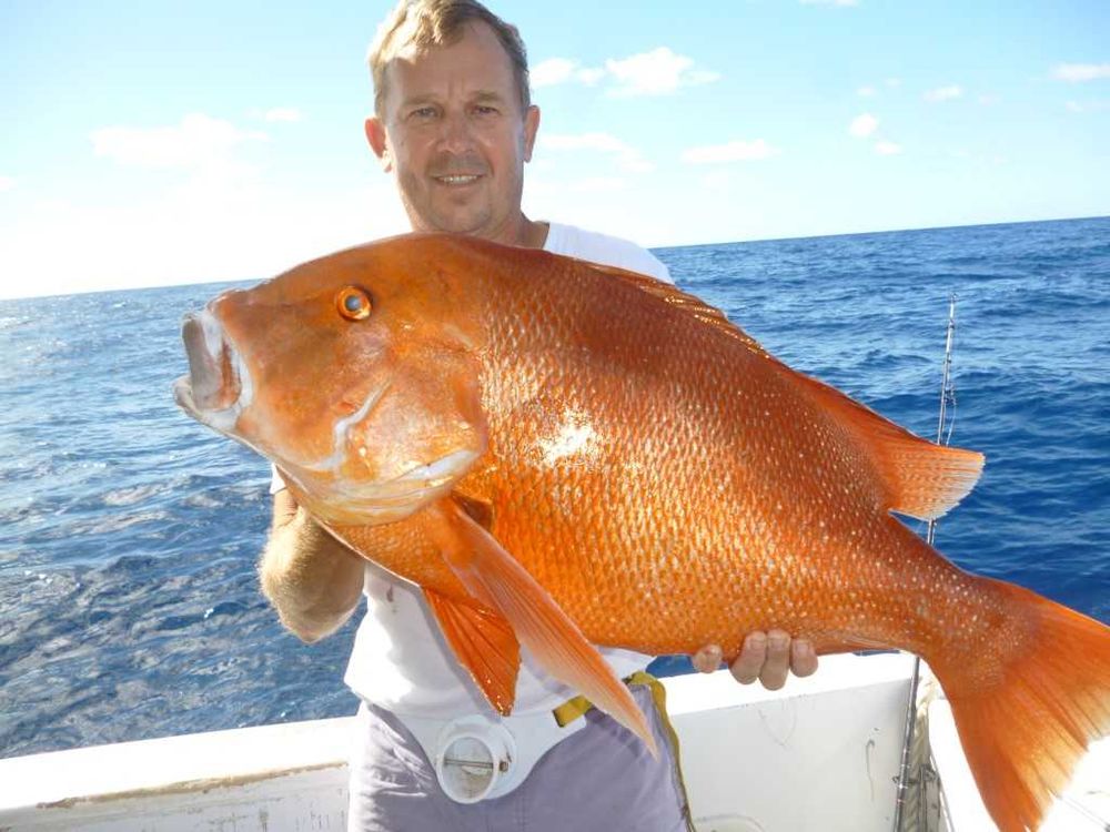 Rainbow Beach Fishing Report post image