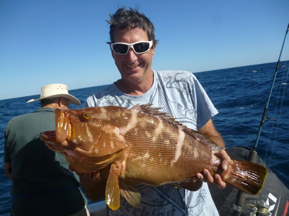 Rainbow Beach fishing report post image