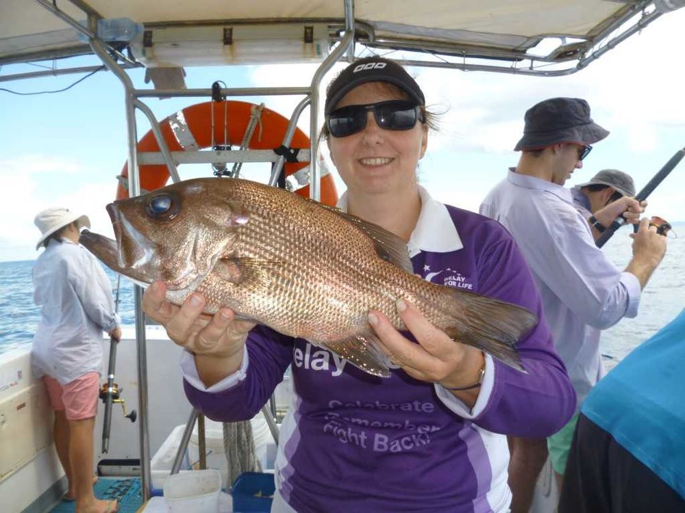 Rainbow Beach fishing report post image