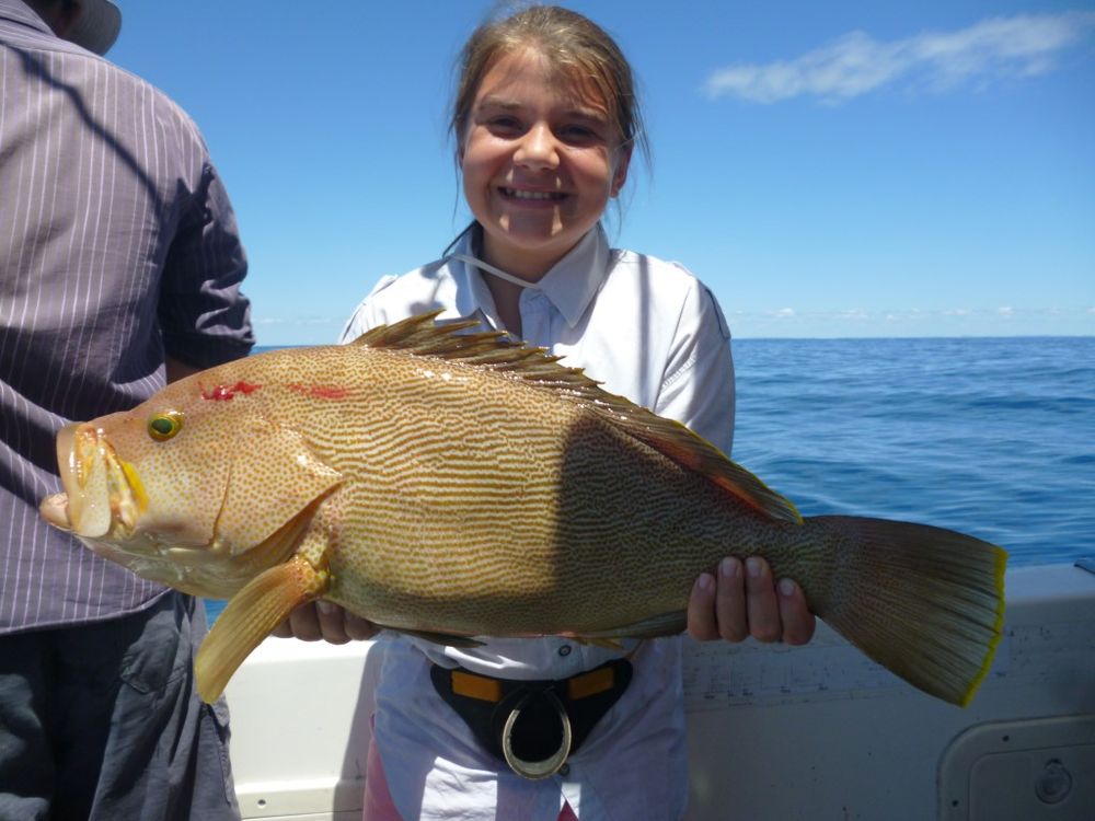 Rainbow Beach fishing report March 2016 post image