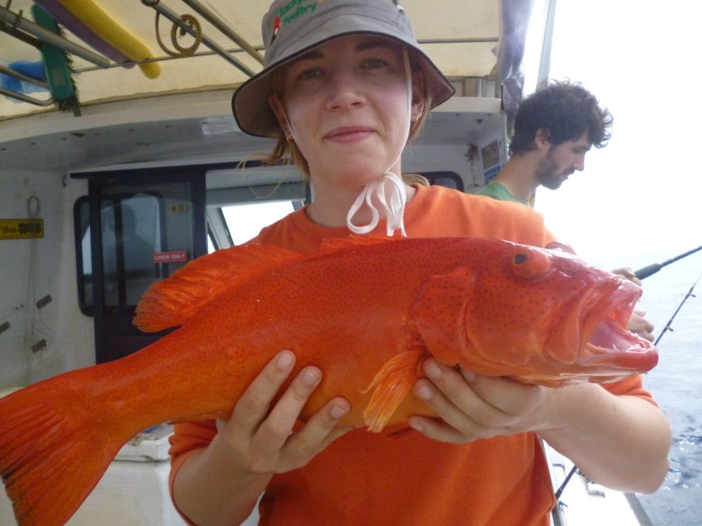 Rainbow Beach fishing report post image