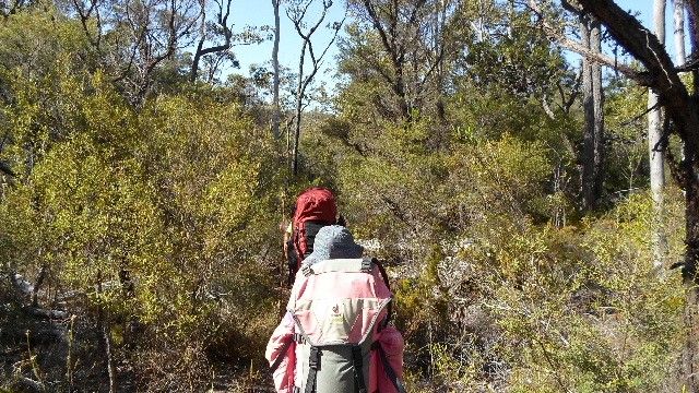 Rainbow Beach community views to help inform K’gari Bushfire Review post image