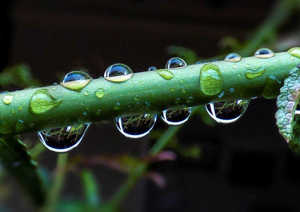 The Ups and Downs of Downloading post image