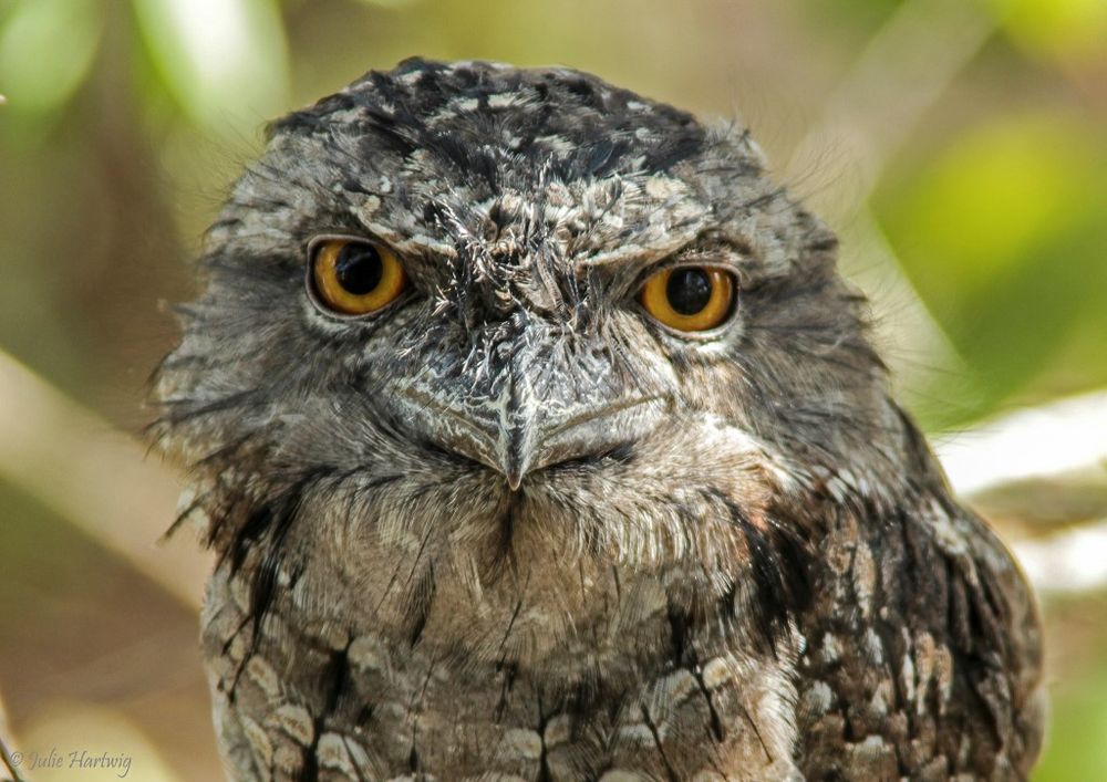 Camera Club News post image