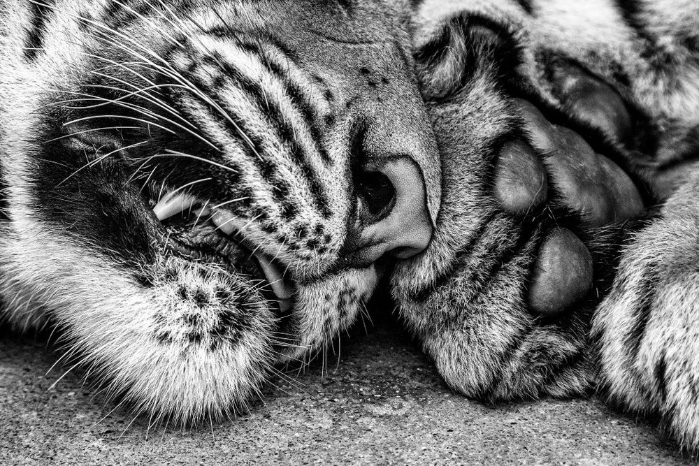 Tin Can Bay Camera Club news March 2016 post image