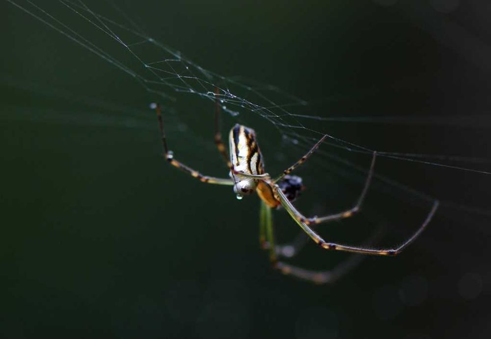 Camera Club goes back to nature post image