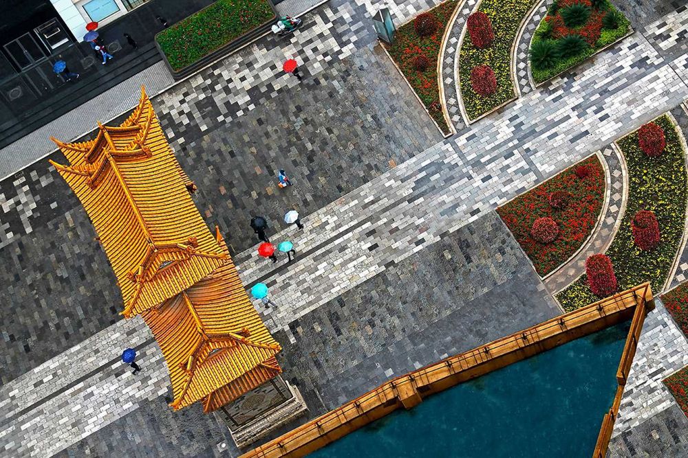 Which camera is right for me? post image