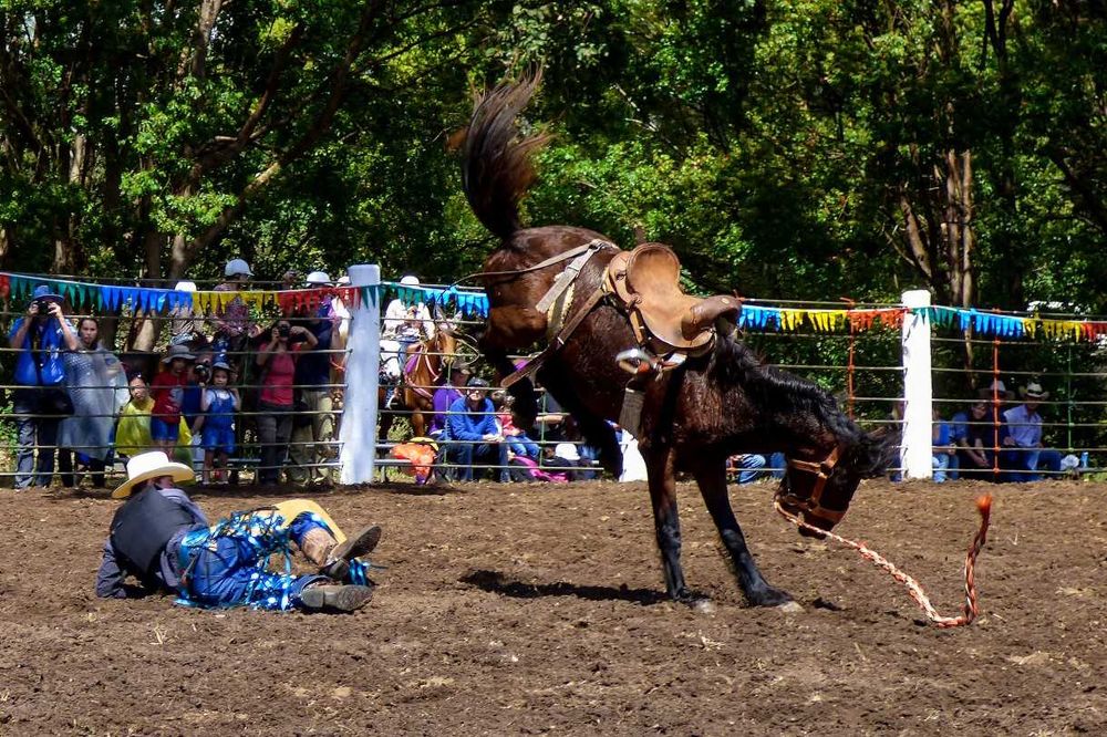 Camera Club meet at the sandblow post image