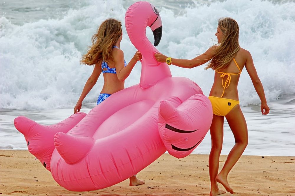 Tin Can Bay Camera Club News post image