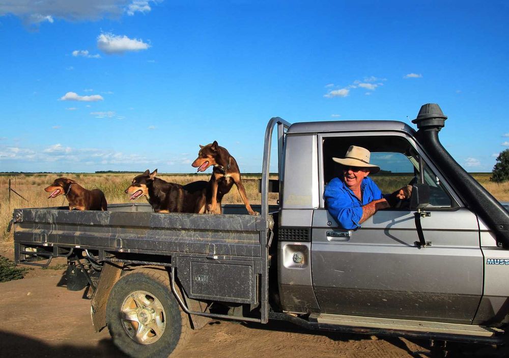 COMPOSITION: THE RULE OF THIRDS post image