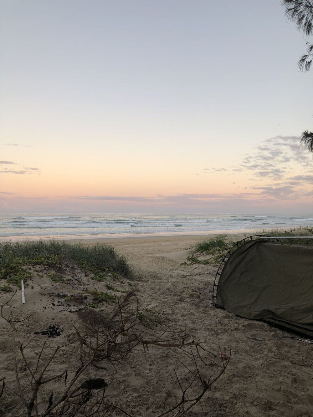 What is going on with camping permits?? post image