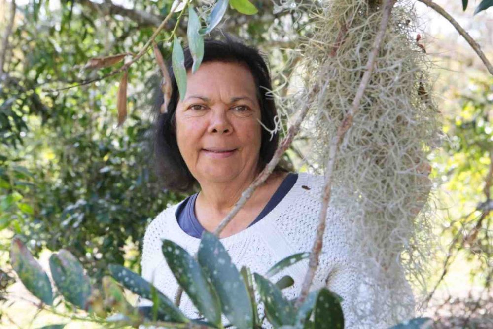 Celebrating Butchulla culture at Gympie Regional Gallery post image