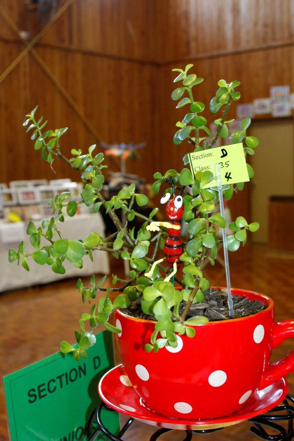 First aid course offered post image