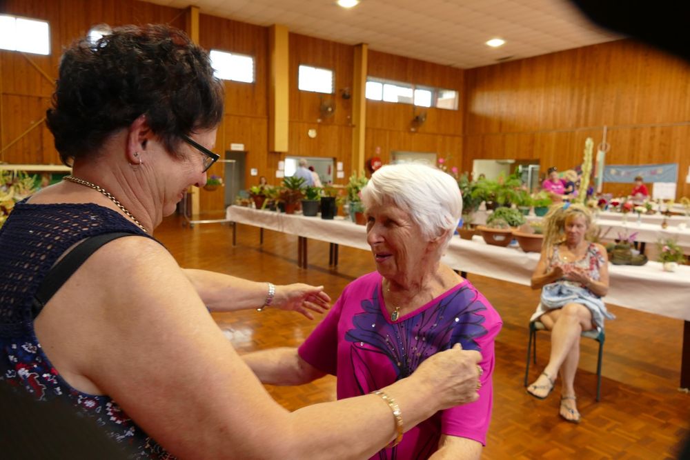 Successful Ambulance Flower Show post image