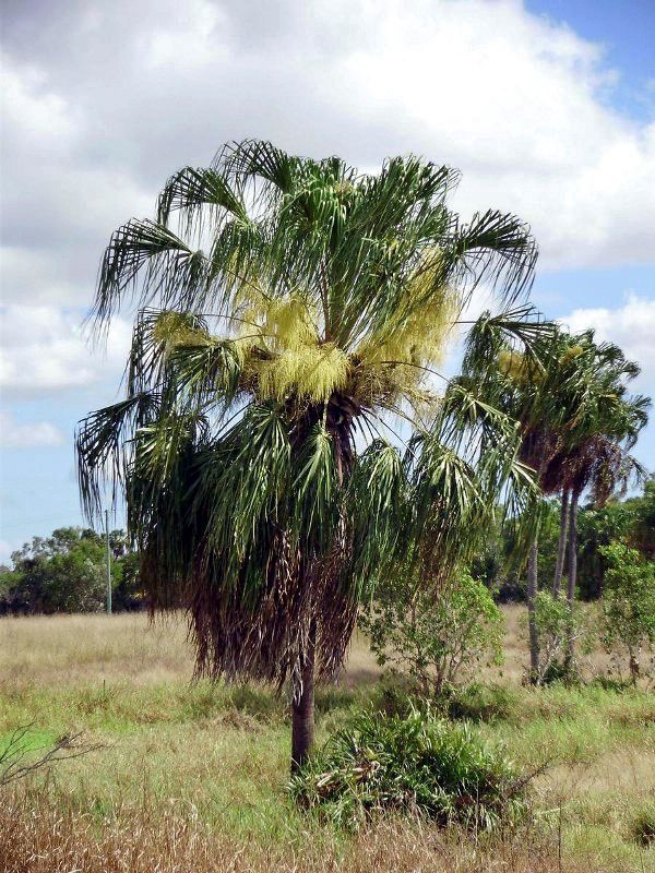 Cooloola City Farm post image