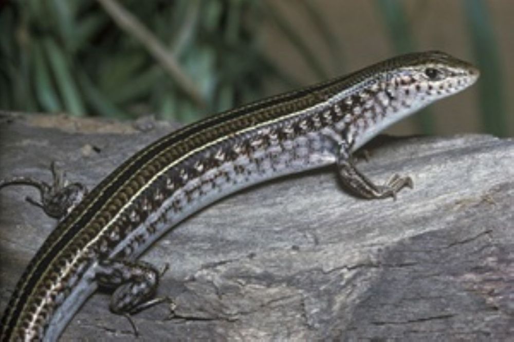 Cooloola City Farm reopens post image