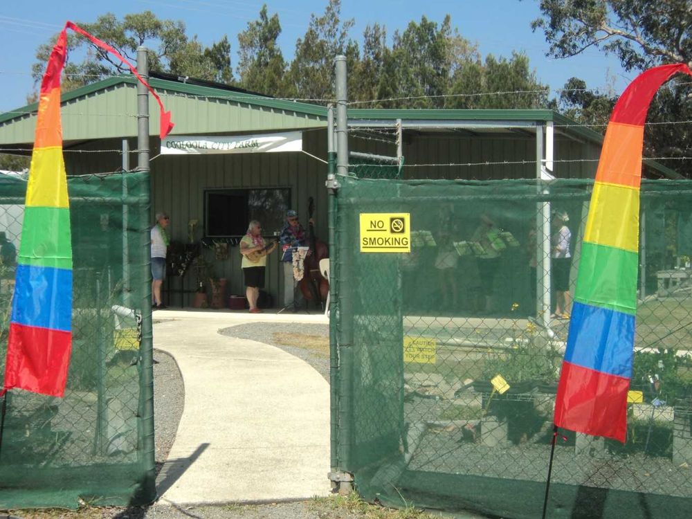 Good news for City Farm post image