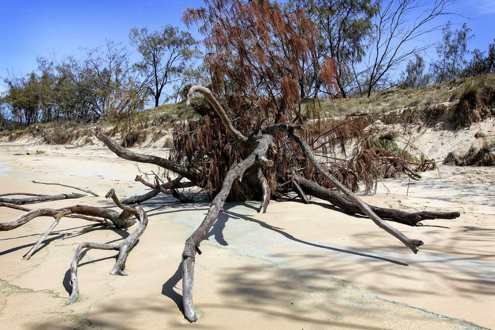 Treat dunes with respect post image