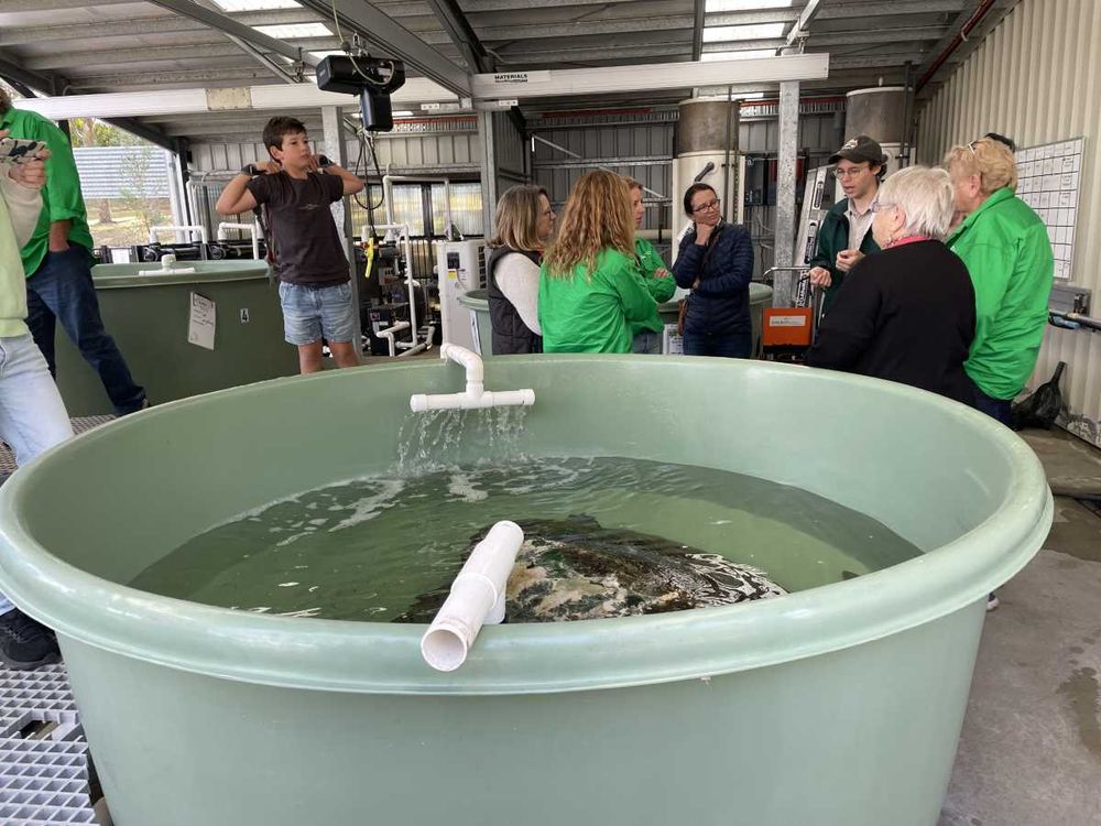 Oh, what a day! post image