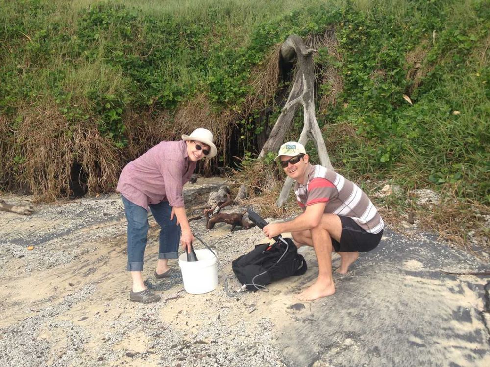 A rating for Rainbow Beach water quality! post image