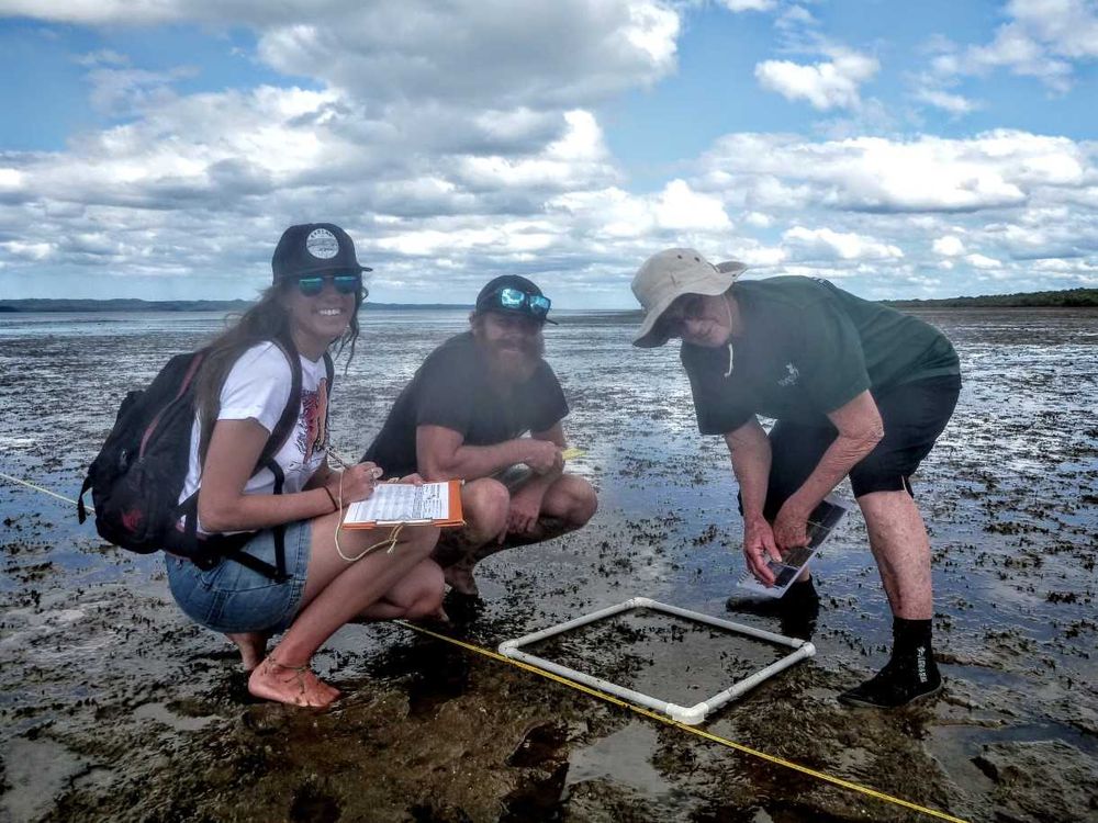 An exciting month to volunteer! post image