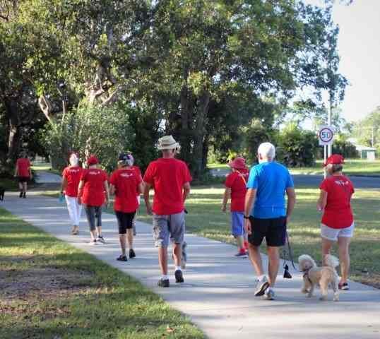 Heart Foundation Walking post image