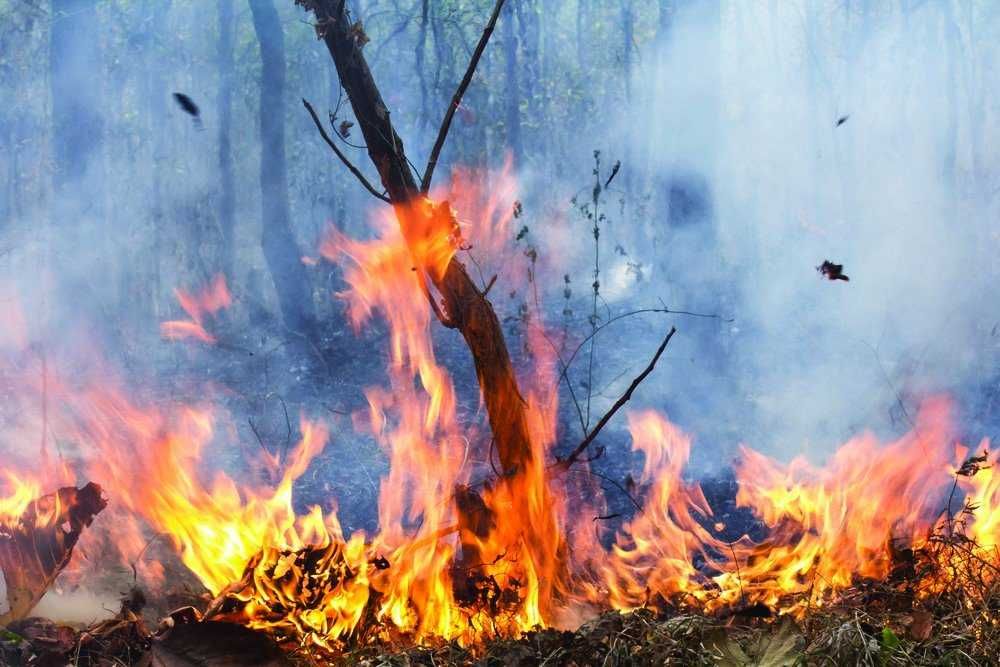 It’s time to get ready for the fire season post image